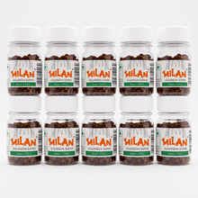Load image into Gallery viewer, Milan Sugandhi Supari 75g Bottle - 10 Bottle Store Pack (Wholesale)