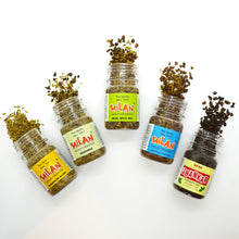 Load image into Gallery viewer, Assorted Mouth Fresheners - Milan &amp; Jhankar -  5 bottles - Free Shipping - Something For Everyone